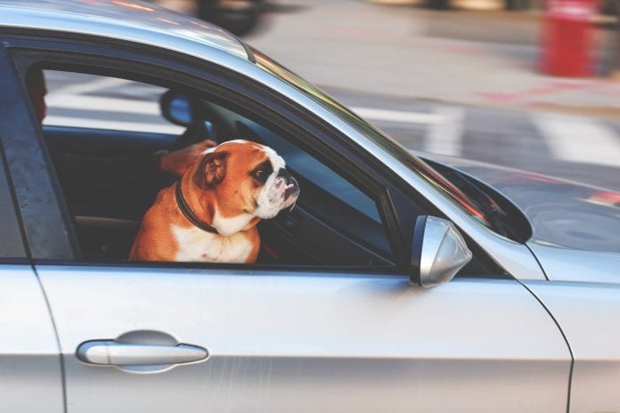 Landlord Travel Expenses: Mileage Claims Landlord Mileage Claim